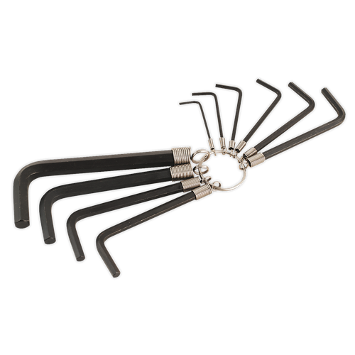 Premier AK6148 Hex Key Set on Ring 10pc