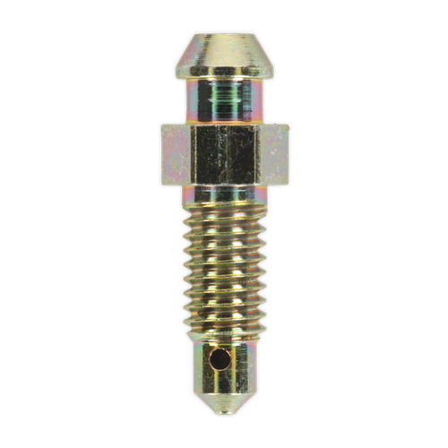 Sealey BS6129 Brake Bleed Screw M6 x 29mm 1mm Pitch - Pack of 10
