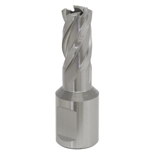 Worksafe RBHSS12S 12mm HSS Mag Drill Bit Cut Depth 25mm