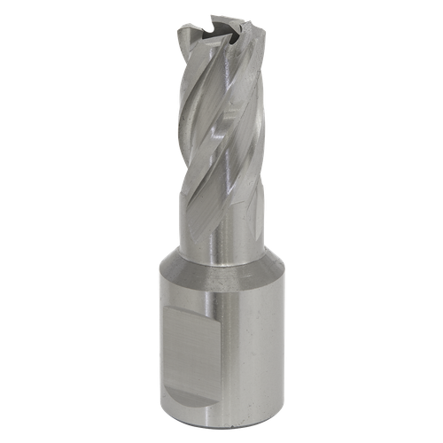 Worksafe RBHSS13S 13mm HSS Mag Drill Bit Cut Depth 25mm