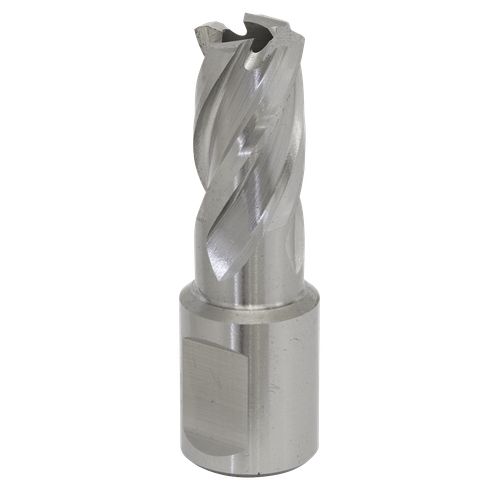 Worksafe RBHSS15S 15mm HSS Mag Drill Bit Cut Depth 25mm