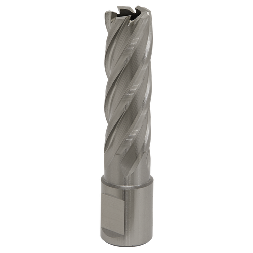 Worksafe RBHSS17L 17mm HSS Mag Drill Bit Cut Depth 50mm