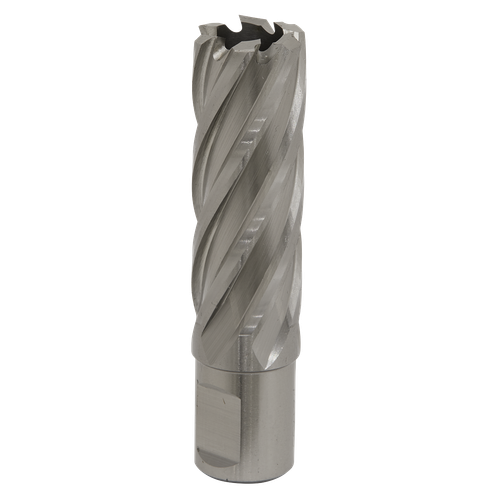 Worksafe RBHSS21L 21mm HSS Mag Drill Bit Cut Depth 50mm