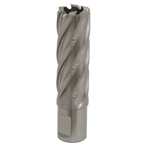 Worksafe RBHSS22L 22mm HSS Mag Drill Bit Cut Depth 50mm
