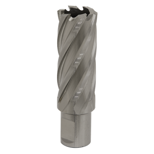 Worksafe RBHSS24L 24mm HSS Mag Drill Bit Cut Depth 50mm