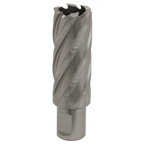 Worksafe RBHSS25L 25mm HSS Mag Drill Bit Cut Depth 50mm