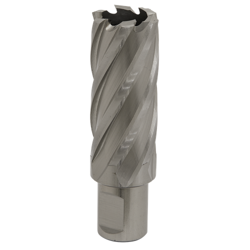 Worksafe RBHSS26L 26mm HSS Mag Drill Bit Cut Depth 50mm