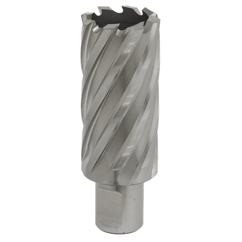 Worksafe RBHSS29L 29mm HSS Mag Drill Bit Cut Depth 50mm