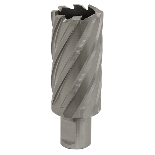 Worksafe RBHSS31L 31mm HSS Mag Drill Bit Cut Depth 50mm
