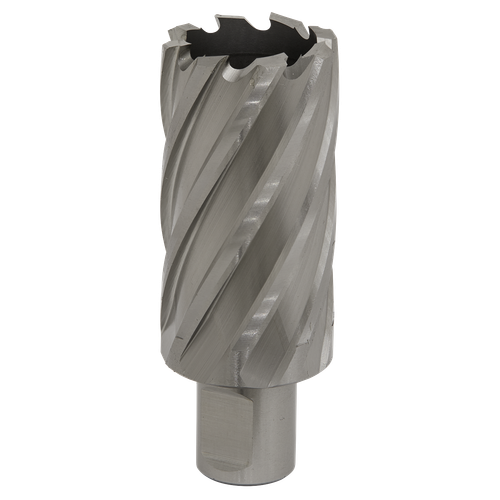 Worksafe RBHSS33L 33mm HSS Mag Drill Bit Cut Depth 50mm