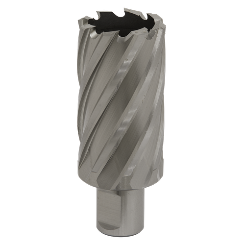 Worksafe RBHSS34L 34mm HSS Mag Drill Bit Cut Depth 50mm