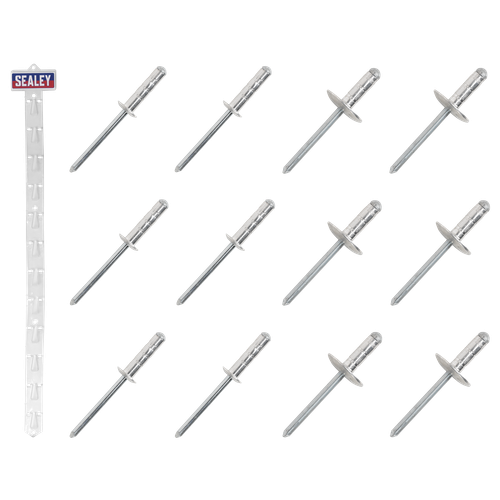 Sealey RVSET Clip Strip Deal - Aluminium Rivets