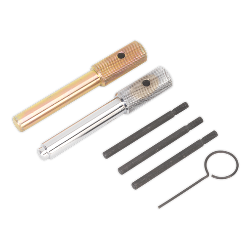 Sealey VSE5842 Diesel Engine Timing Tool Kit - for Ford, Fiat, JLR, LDV, PSA 2.0D/2.2D/2.4D/3.2D - Chain Drive