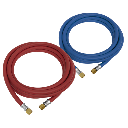 Sealey WH10 Oxyacetylene Welding Hose Set 10m