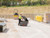 Armorgard BB2 barrobox™ Mobile Security Box - ARMBB2N