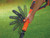 Black + Decker STC1820PC Cordless AFS Strimmer® 18V 1 x 2.0Ah Li-ion