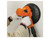 Evolution 069-0001 Portable Dry Wall Sander with Integrated Dust Extractor 1050W 240V