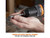 Evolution 105-0001 R13CMB-Li EXT Combi Drill 18V Bare Unit - EVLR13CMBN