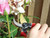 Faithfull Countryman Professional Bypass Secateurs 215mm (8in)