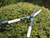 Faithfull FAICOUHS10 Countryman Hedge Shear 250mm (10in) - FAICOUHS10