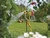 Hozelock 100-001-218 2683 Flexi Spray Gun - HOZ2683