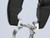 KNIPEX 85 51 250 C 85 51 250 C Spring Hose Clamp Pliers for Click Clamps 250mm - KPX8551250C