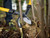 Roughneck 66-867 XT Pro Bypass Loppers 760mm (30in)