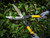 Roughneck 66-870 XT Pro Hedge Shears 635mm (25in)