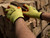 Scan 2ANK32L-24 Knitshell Latex Palm Gloves - L (Size 9) (12 Pairs)