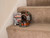 Shurtape 241330 T-REX® Duct Tape 25mm x 9.1m Graphite Grey