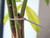 Faithfull FAICT200G Cable Ties Grey 3.6 x 200mm (Pack 100) – view 1