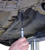 Gedore 2968355 KL-0220-10 K Fixing Tool Kit, VW Assembly Carrier – view 1