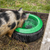 Sealey AFT07 Tyre Feed Bowl 15L