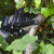 Sealey CP108VPSBO SV10.8 Series Cordless Pruning Saw 10.8V - Body Only