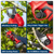 Sealey CP20VPS SV20 Series Brushless Cordless Pruning Shears 20V - Body Only