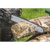 Sealey CP40VCSKIT Chainsaw Kit 40V 4Ah SV20 Series 35cm