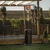 Dellonda DG1 Outdoor Garden Gas Patio Heater 13kW Commercial & Domestic Use, Black