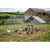 Dellonda DG280 Walk-In Galvanized Steel Chicken Run with Roof Cover & PVC Coated Chicken Wire