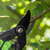 Sealey GTSG001 Bypass Secateurs with Soft Grip Handle, Safety Lock & Carbon Steel Blade, 208mm