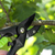 Sealey GTSG002 Anvil Secateurs with Soft Grip Handle, Safety Lock & Carbon Steel Blade, 208mm