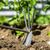 Premier GTWH002 2-in-1 Hoe and Cultivator with Ash Handle & Stainless Steel Tines/Blade