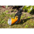Sealey SLP1 Litter Picker - Single