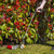 Sealey SLP4 Litter Picker - Pack of 4