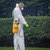 Sealey SS2 Pressure Sprayer 5L