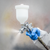 Sealey SSG501 Gravity Feed Spray Gun 2.2mm Set-Up