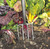 Draper 88791 Carbon Steel Border Fork