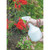 Draper 82464 Pressure Sprayer, 6.25L, with Mini Sprayer, 1L