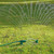 Draper 36865 17 Hole Oscillating Sprinkler