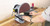 Draper 88912 Disc Sander, 305mm, 750W