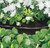 Draper 68261 Perforated Soaker Hose, 12mm Bore, 15m, Black